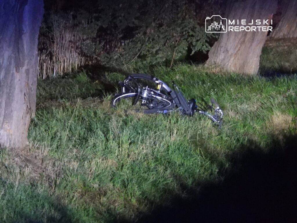 Złamany rower leży na trawie obok pnia drzewa, w otoczeniu niskiej roślinności.