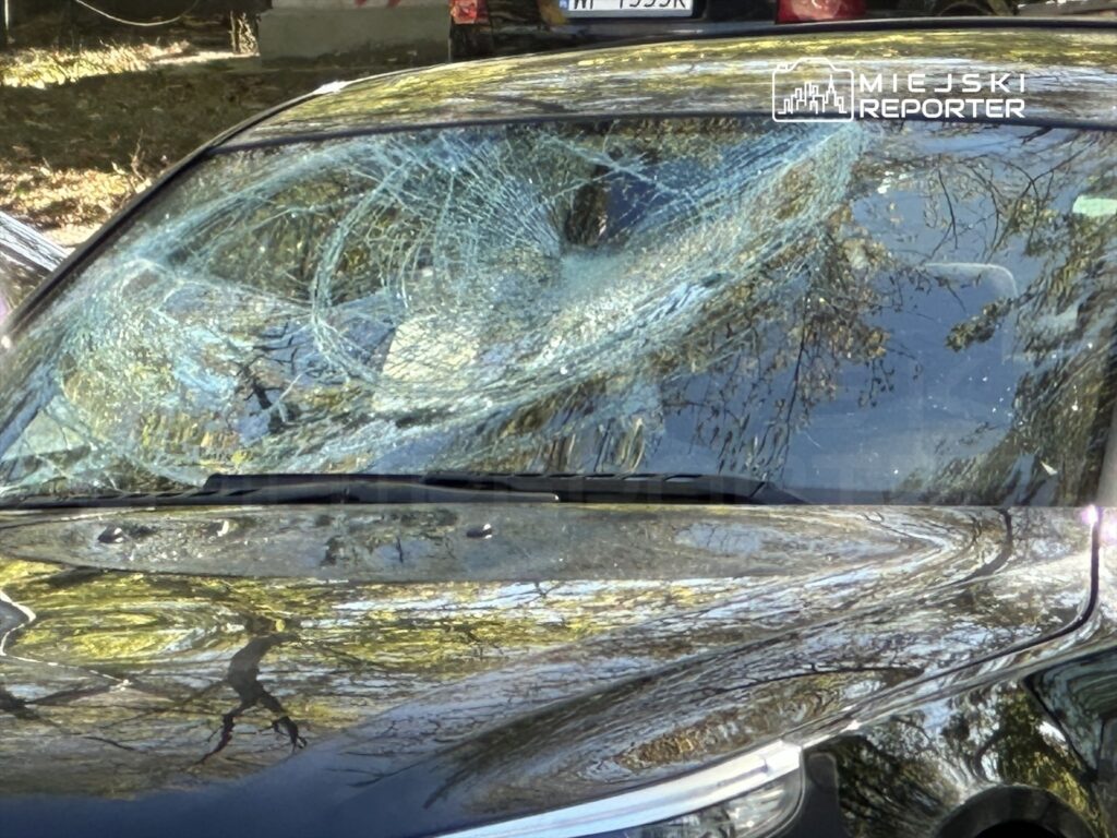 Zbity przedni szyba czarnego samochodu osobowego, pokryta szklanymi odłamkami i zarysowaniami, w otoczeniu drzew.