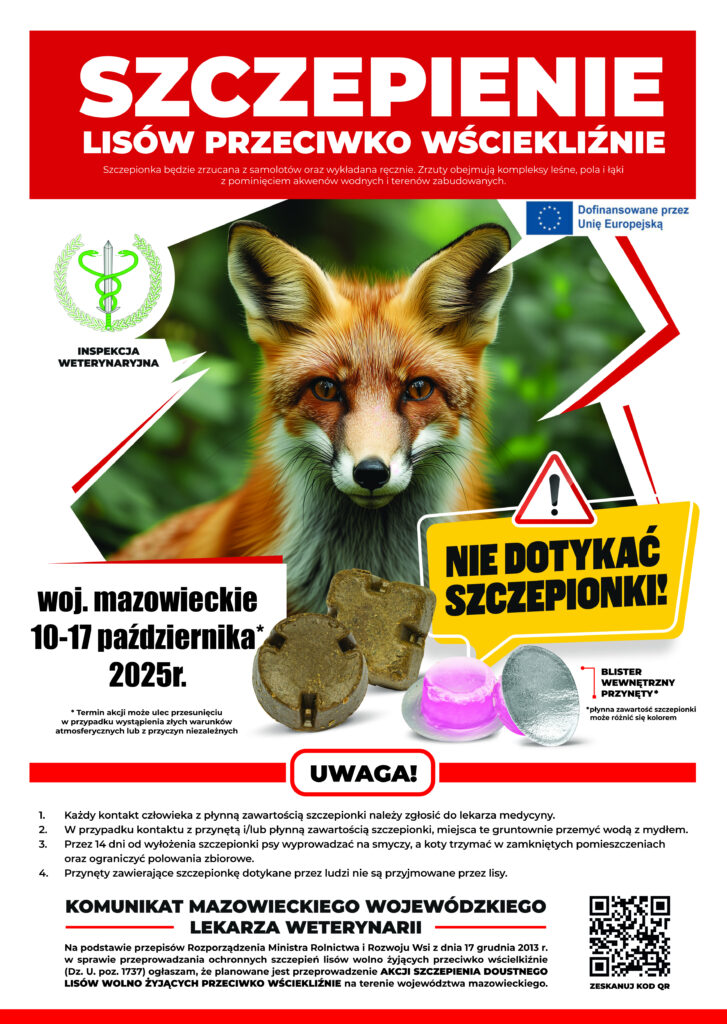 Lis z bliska, z wyraźnymi detalami futra, na tle kolorowego plakatu informacyjnego o szczepieniu. Widzoczne szczepionki w formie tabletek obok ostrzeżenia „NIE DOTYKAĆ SZCZEPIONKI!”.