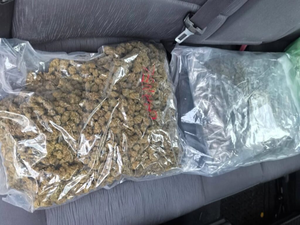Dwa przezroczyste worki z suszem roślinnym leżą na siedzeniu samochodu.