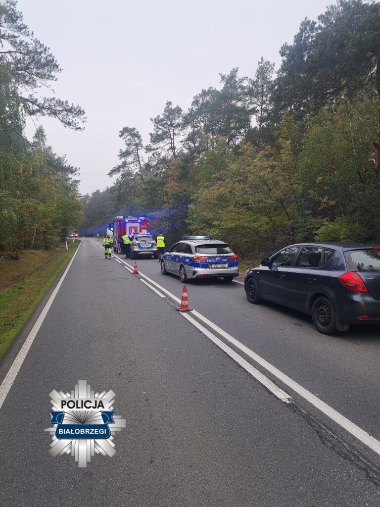 Grupa policjantów i ratowników medycznych zabezpiecza miejsce zdarzenia na drodze otoczonej lasem.
