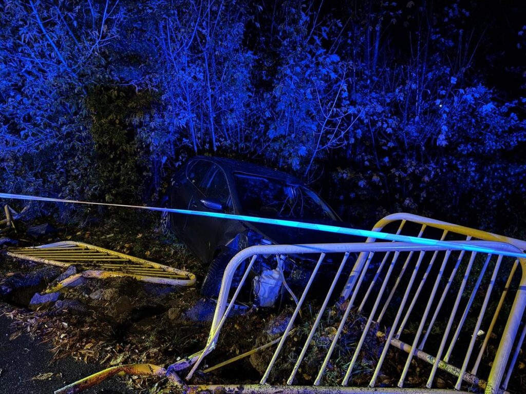 Czarny samochód osobowy wjeżdżający w zarośla, obok leżące uszkodzone barierki. Otoczenie oświetlone niebieskim światłem.