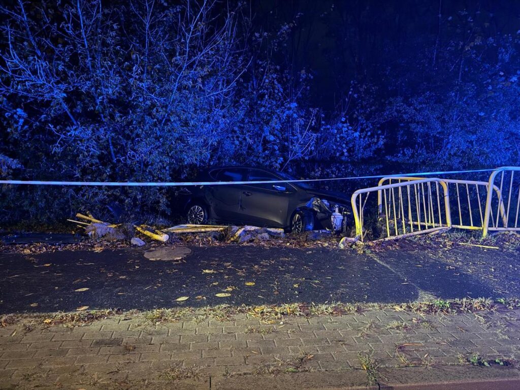 Samochód osobowy wjeżdżający w pobliżu ogrodzenia, otoczony przez zarośla, w ciemnej scenerii nocnej.