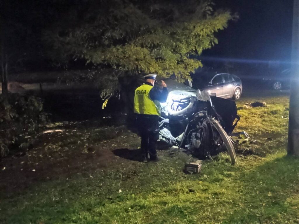 Policjant w odblaskowej kamizelce bada wrak samochodu po wypadku w ciemnym otoczeniu, obok rosnących drzew.