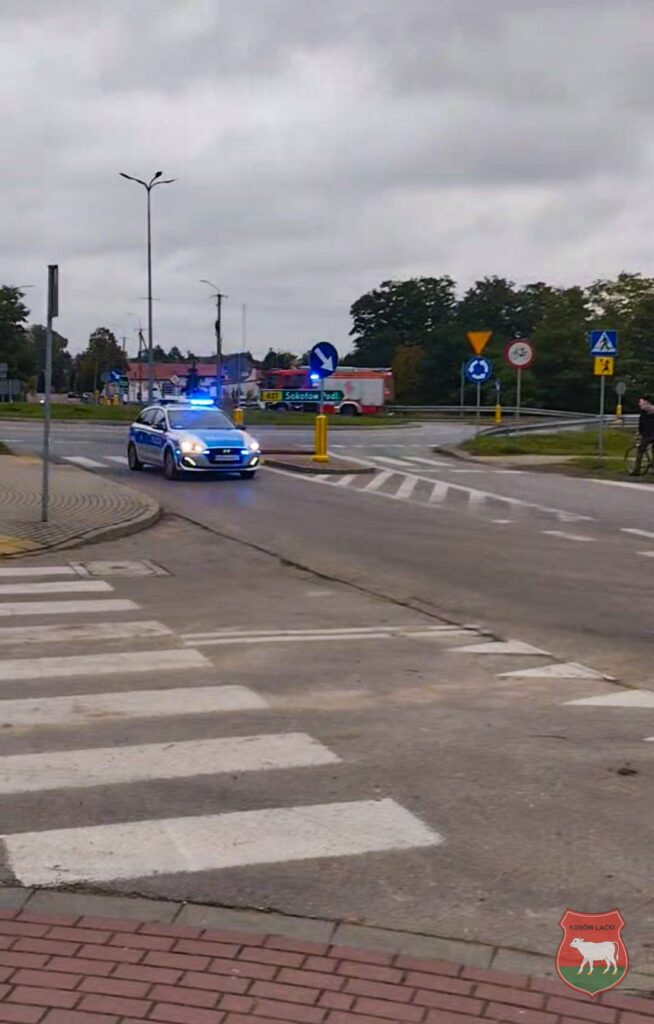 Policyjny radiowóz z włączonymi sygnałami świetlnymi skręca na rondzie, obok przejścia dla pieszych.