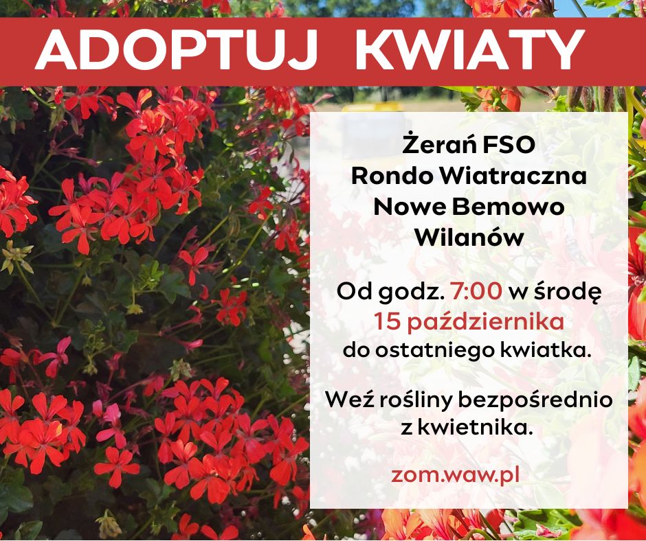 Czerwone kwiaty w donicach na tle nieba, z informacją o akcji adopcji roślin na Rondo Wiatraczną w Warszawie.