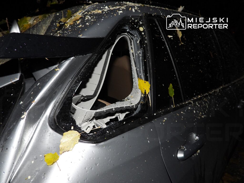 Uszkodzone auto z wybitym oknem, na karoserii liście i krople wody.