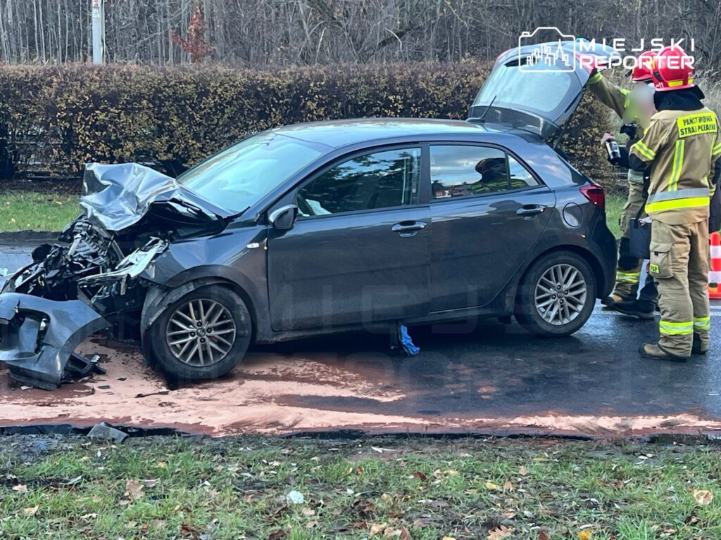 Uszkodzony samochód osobowy stoi na drodze, obok strażacy sprawdzają jego stan. W tle widać zarośla.