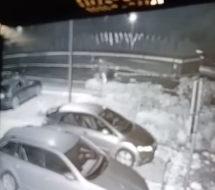 Samochody zaparkowane na podjeździe, w tle oświetlona ulica i ciemne zarysy drzew.