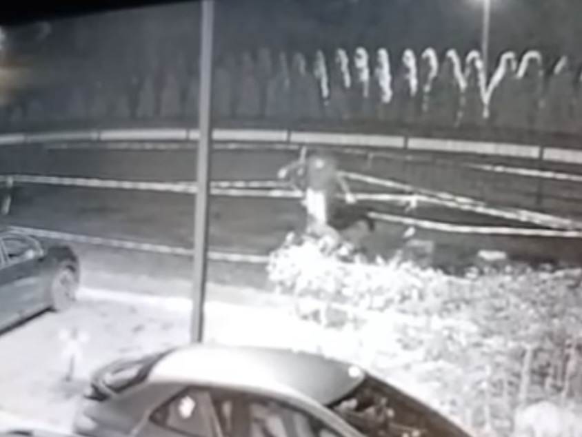 Mężczyzna w ciemnym ubraniu przeszukujący teren zielony obok zaparkowanych samochodów w nocy.