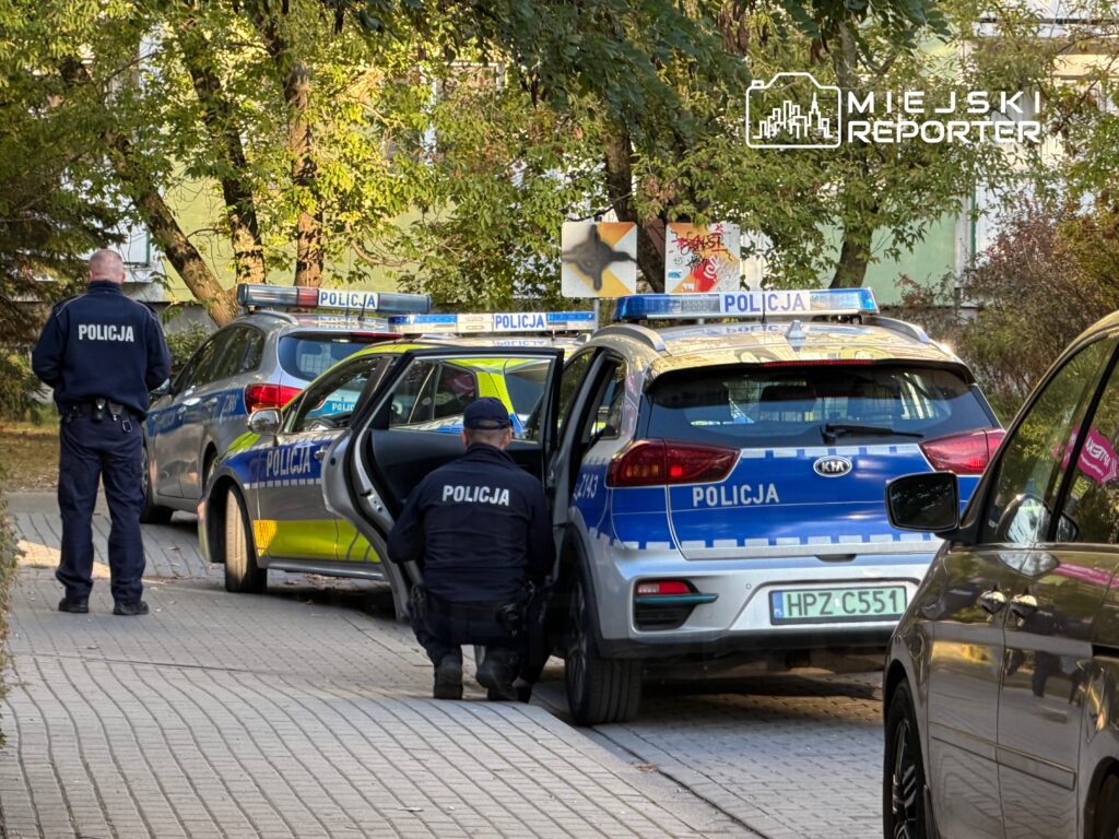 Dwóch policjantów sprawdzających dokumenty przy radiowozie na chodniku w otoczeniu zieleni.