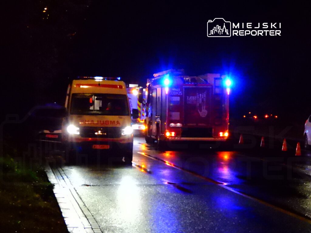 Na drodze nocą stoi ambulans oraz wóz strażacki z włączonymi sygnałami świetlnymi, otoczone przez pachołki.