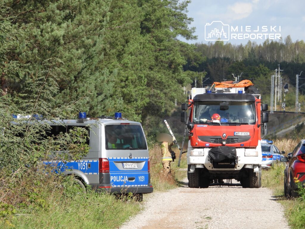 Policjanci i strażacy pracują na miejscu zdarzenia w leśnym otoczeniu przy drodze, obok wozu strażackiego.