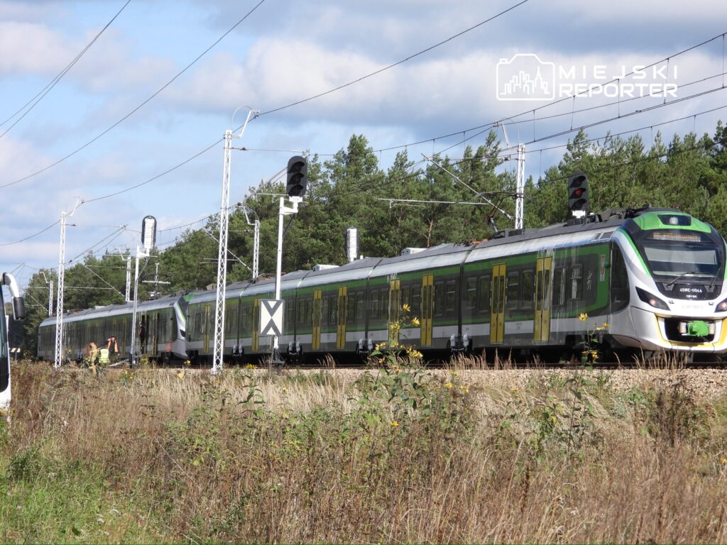Pociąg pasażerski zatrzymany na torach w otoczeniu zieleni, z sygnalizacją świetlną w tle.
