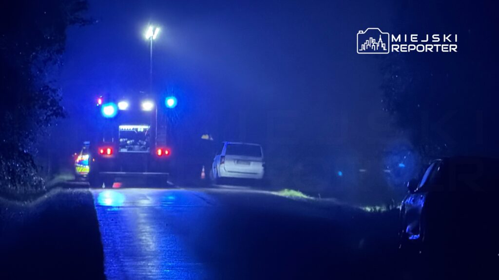 Nocny widok na drogę z włączonymi sygnałami wozu strażackiego oraz radiowozu, otoczenie oświetlone niebieskim światłem.