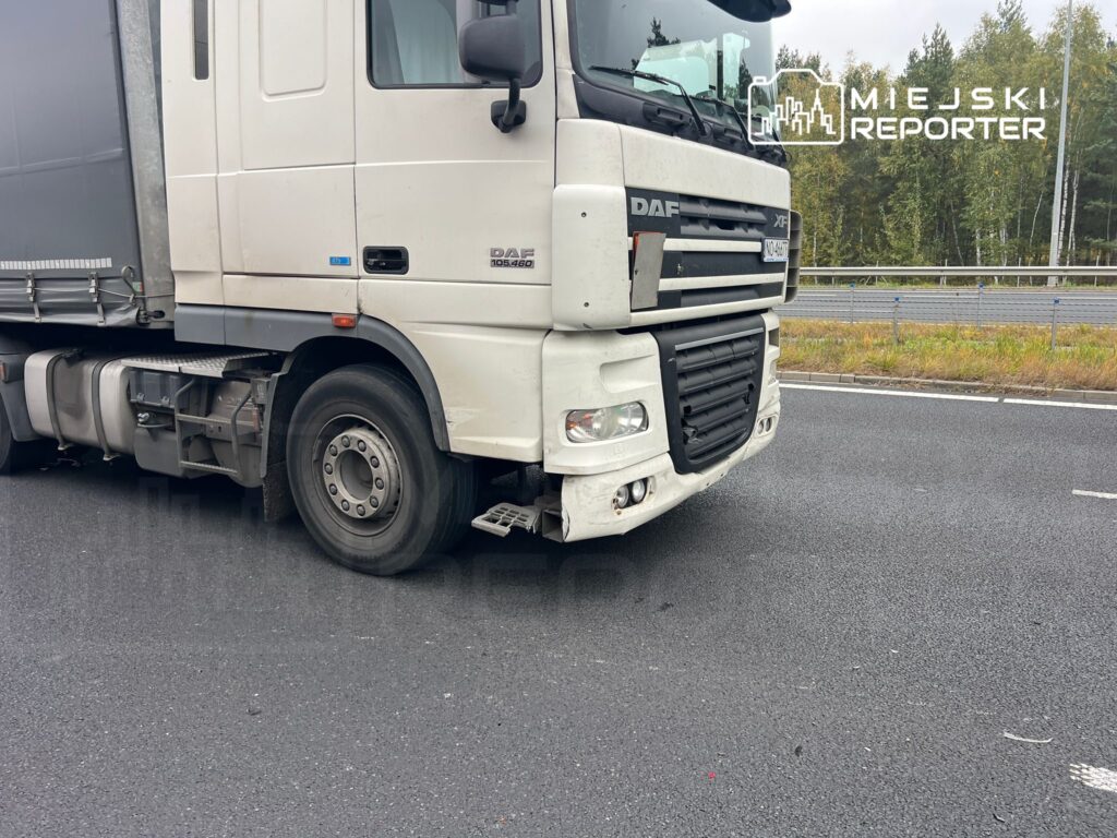Biały ciężarowy pojazd marki DAF stoi na poboczu drogi, obok zadrzewionego terenu.