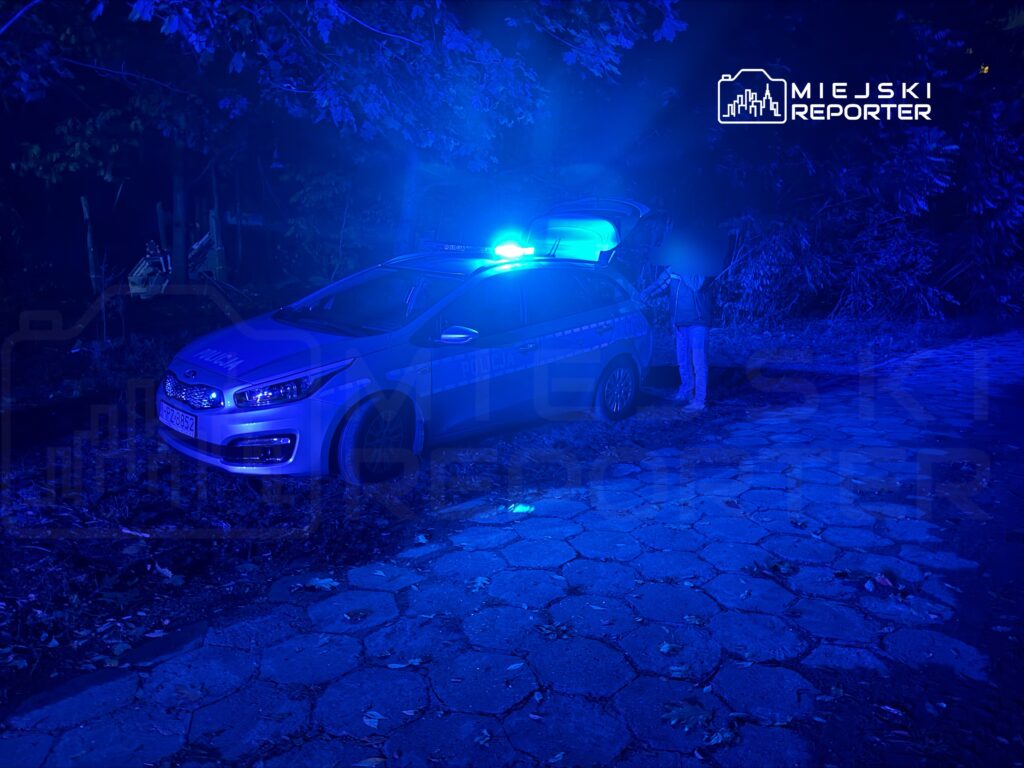 Policjant przy otwartym bagażniku radiowozu z niebieskimi światłami, na oświetlonej ulicy w lesie.