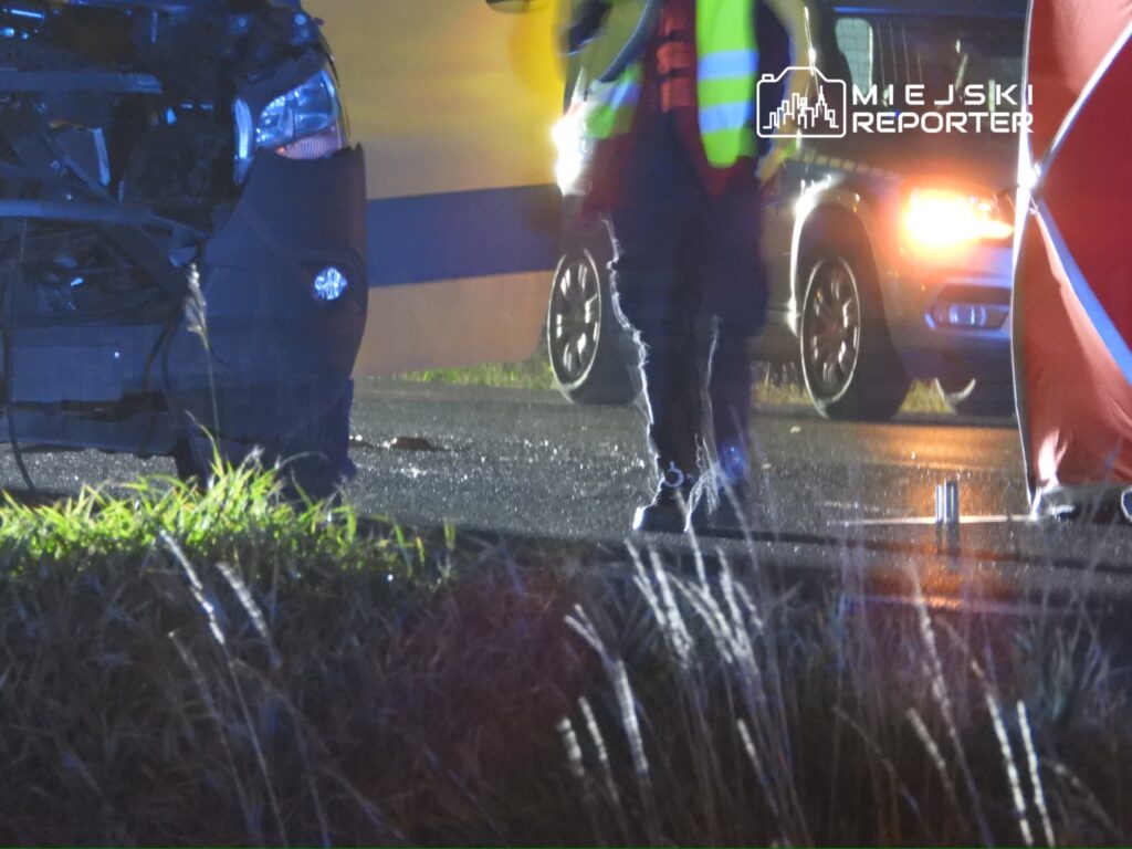 Mężczyzna w odblaskowej kamizelce bada uszkodzony pojazd na drodze, w tle widać inne auta i światełka policyjne.