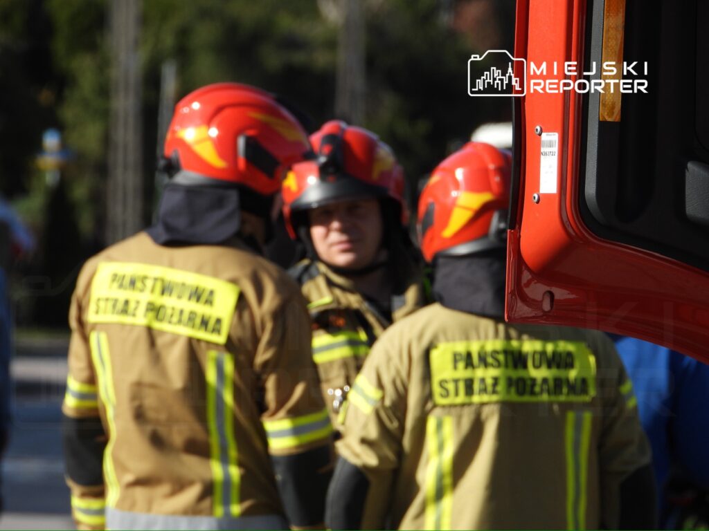 Czterej strażacy w kaskach rozmawiają obok wozu strażackiego na tle zieleni.