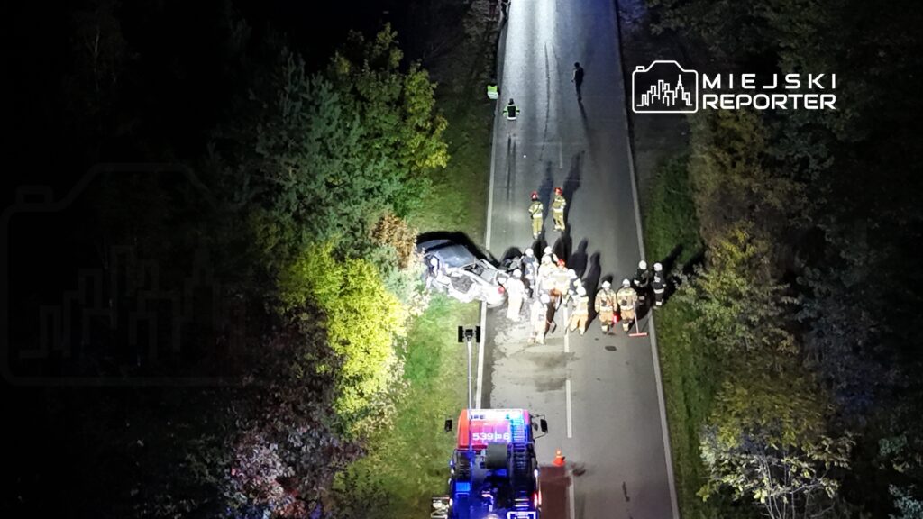 Grupa ratowników i strażaków pracuje przy wypadku drogowym, gdzie samochód wypadł z drogi.