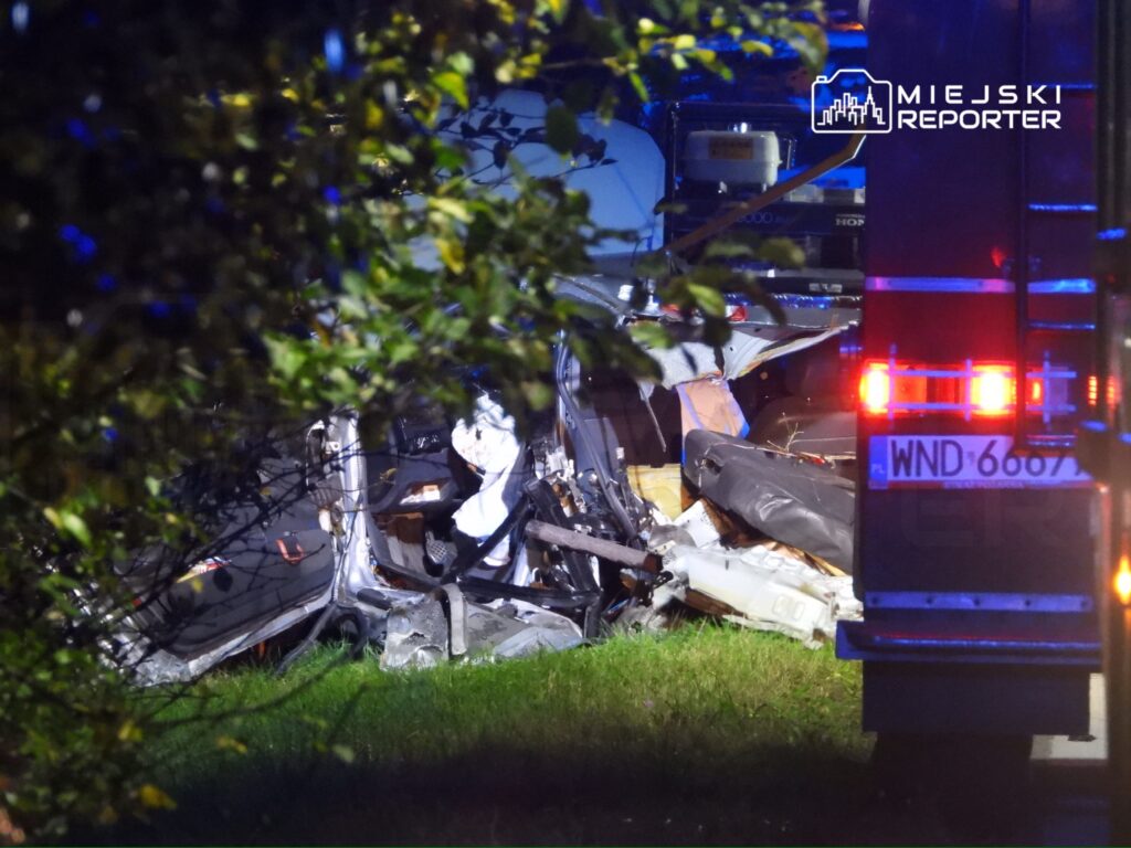 Wgnieciony pojazd osobowy na poboczu drogi, otoczony przez roślinność, z widocznymi śladami poważnego uszkodzenia.
