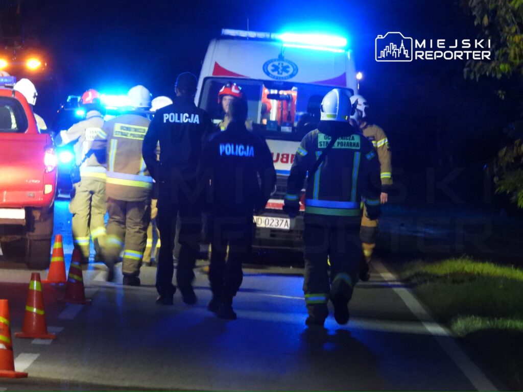 Grupa ratowników medycznych, policjantów i strażaków zmierza w stronę karetki na oświetlonej drodze.