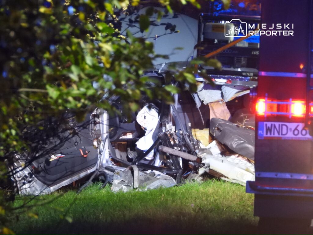 Zniszczony samochód osobowy leży na trawie, otoczony przez gałęzie i światła pojazdów służb ratunkowych.