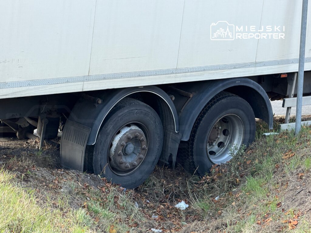 Tir z głęboko osadzonym kołem na poboczu drogi, otoczony trawą i liśćmi.
