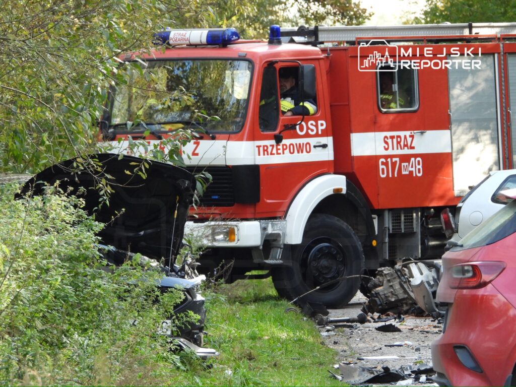 Straż pożarna z Trzepowa interweniuje przy samochodzie osobowym z uszkodzonym silnikiem na poboczu drogi.