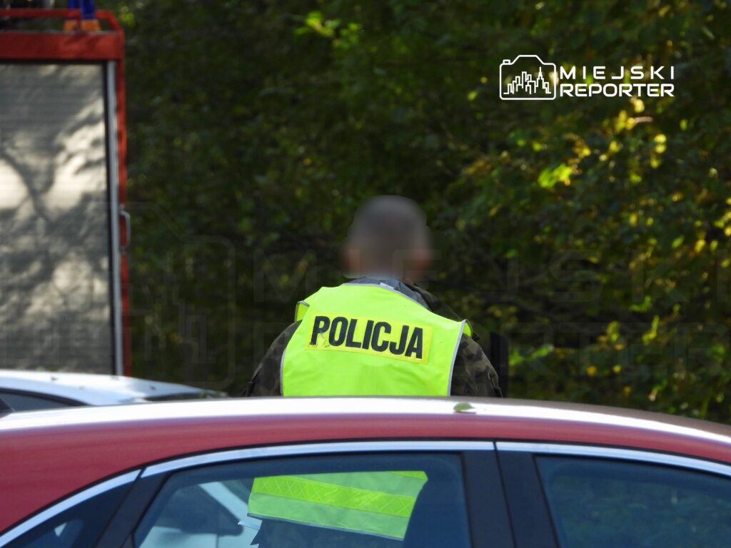 Policjant w kamizelce odblaskowej stoi obok zaparkowanych samochodów w tle zieleni.
