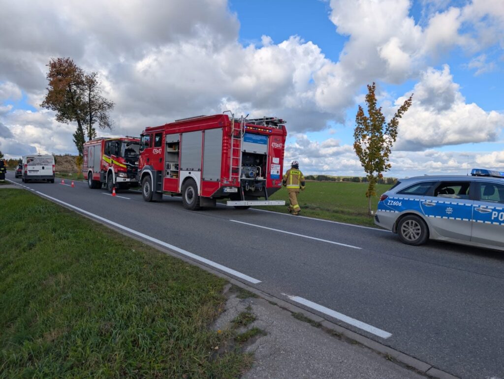 Strażacy przy wozie strażackim na drodze, obok radiowozu policyjnego, w tle pola i chmury.