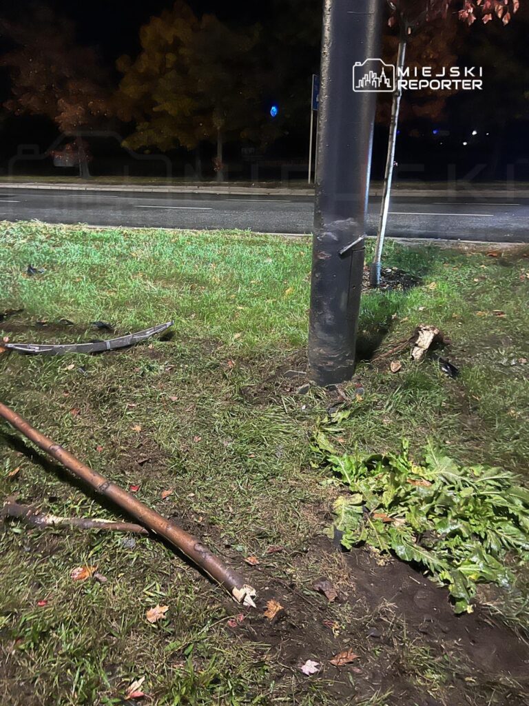 Złamany słup oświetleniowy na trawniku, obok leżące gałęzie i liście, w tle widoczna droga.