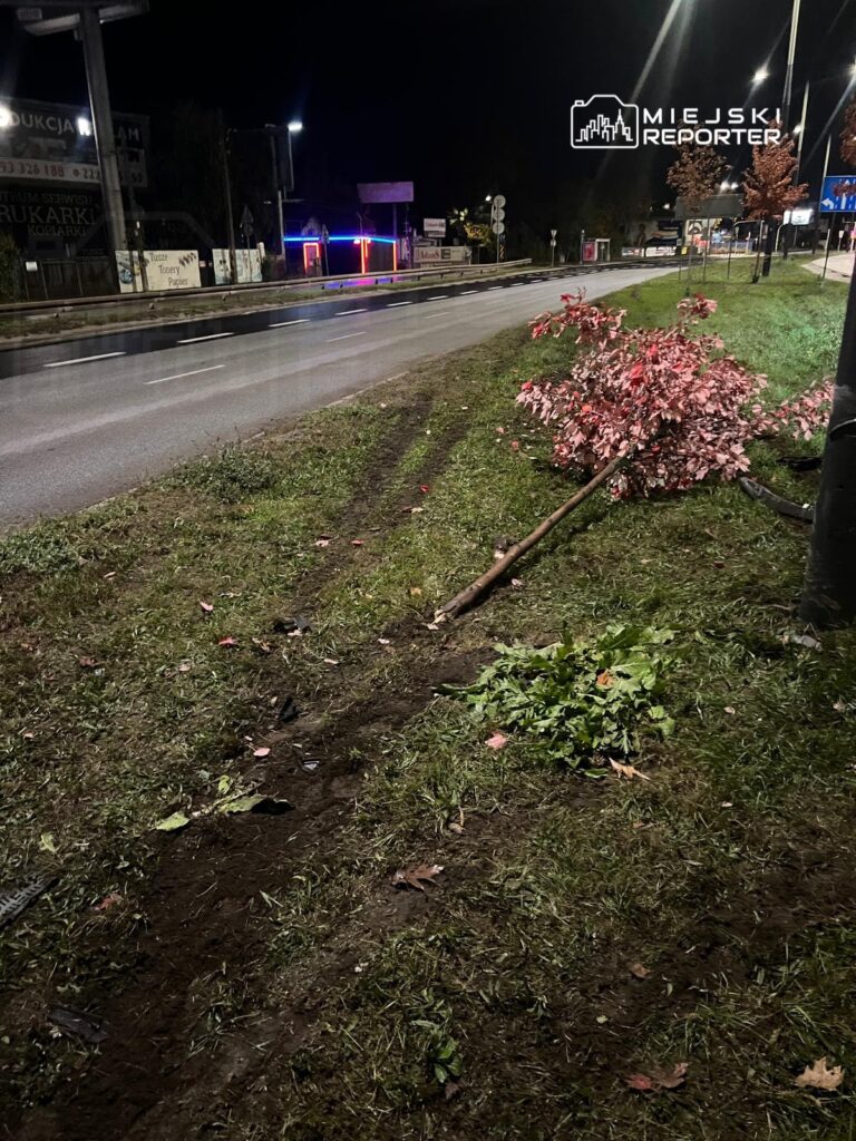 Na poboczu drogi leży połamane drzewo oraz zeschłe liście, obok widoczny ślad po przyczynie uszkodzenia.