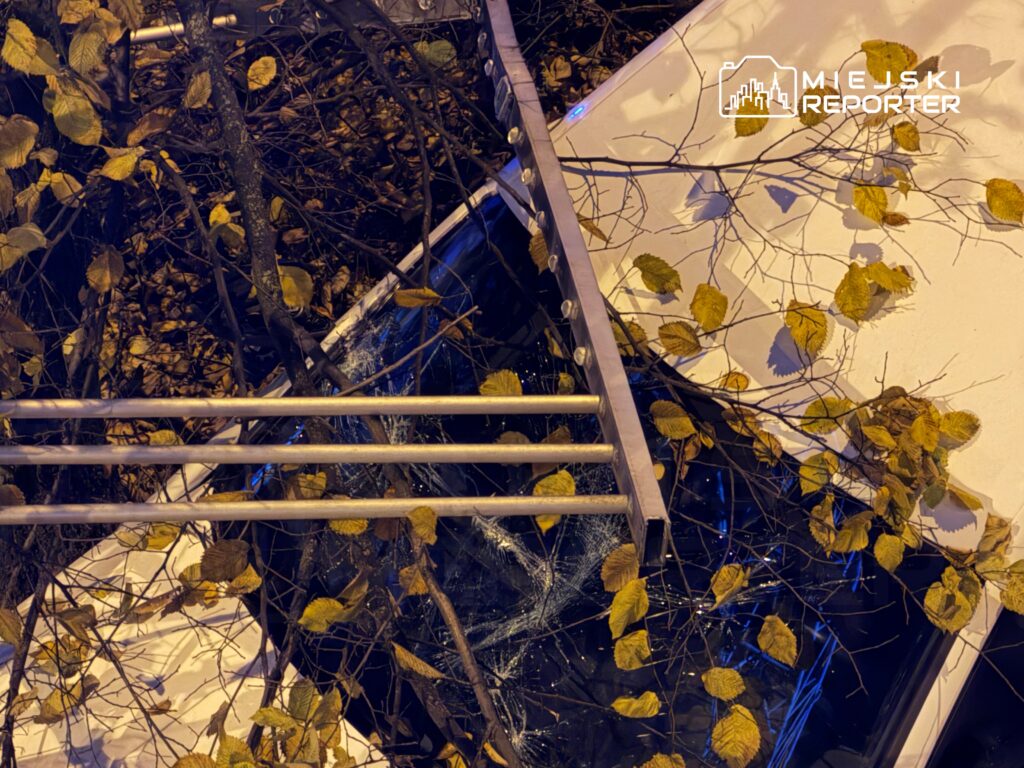 Złamane gałęzie i liście opadają na uszkodzoną szybę w nocy, w tle widoczne niebieskie światła.