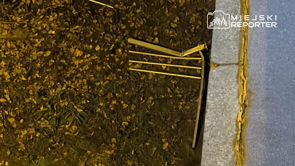 Złamane metalowe elementy leżą na ziemi wśród opadłych liści przy krawędzi chodnika.
