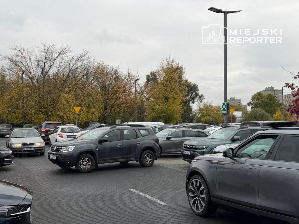 Zatłoczony parking z wieloma samochodami, w tym szarym SUV-ie, w otoczeniu drzew z żółtymi liśćmi.