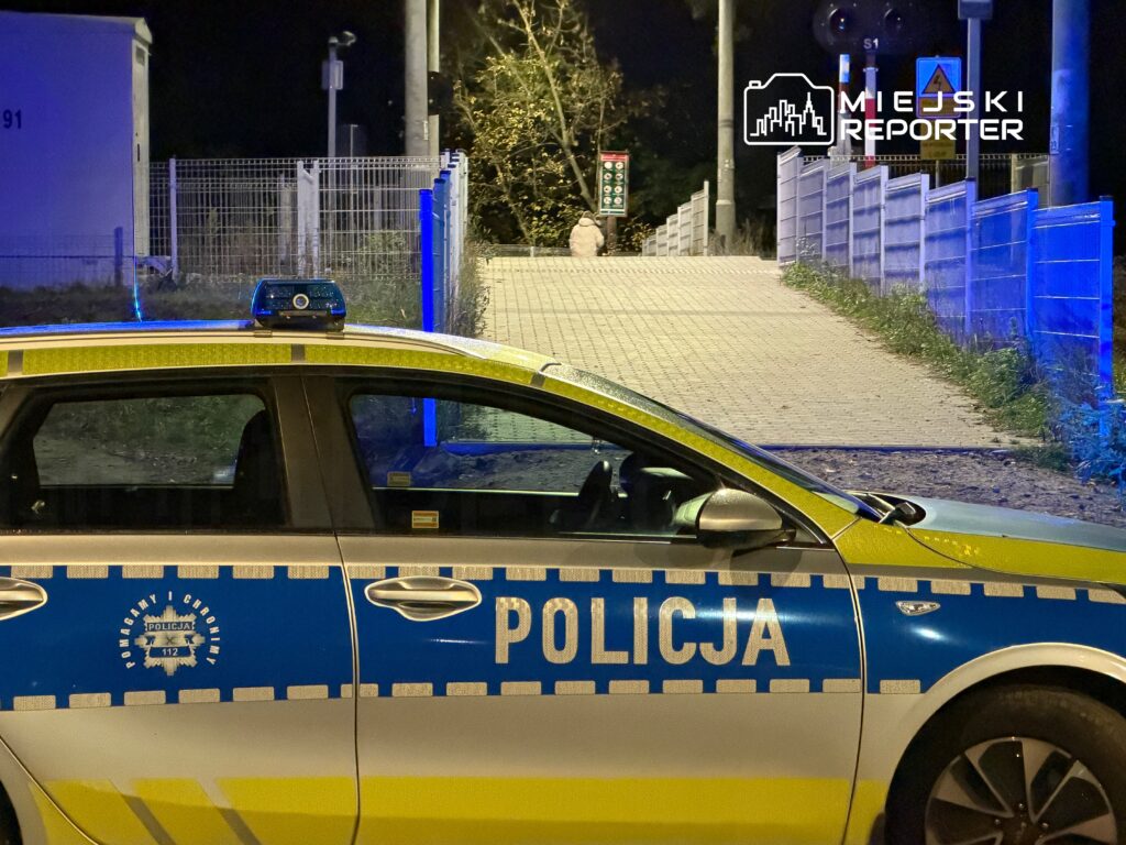 Policyjny radiowóz z niebieskim światłem zapalonym stoi na poboczu, obok przejścia dla pieszych w nocnej scenerii.