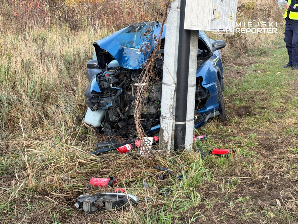 Niebieski samochód osobowy z uszkodzoną przednią częścią, stojący przy słupie drogowym w zaroślach.