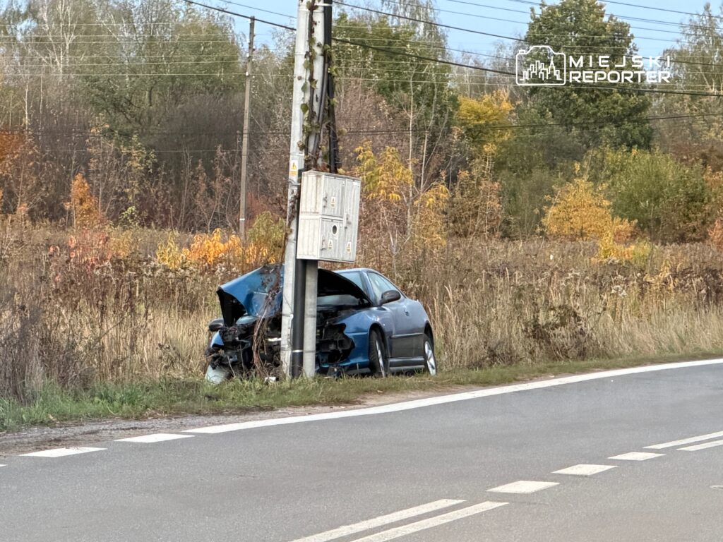 Zniszczony niebieski samochód osobowy zatrzymany obok słupa elektrycznego, w tle jesienne krzewy i trawy.