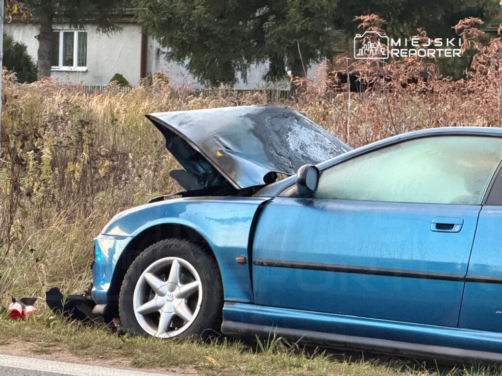 Niebieski samochód z otwartą maską stoi na poboczu drogi, otoczony wysoką trawą i krzewami.