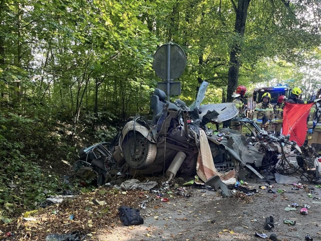 Wrak samochodu leży na poboczu drogi w lesie, a obok niego pracują strażacy w kaskach i mundurach.