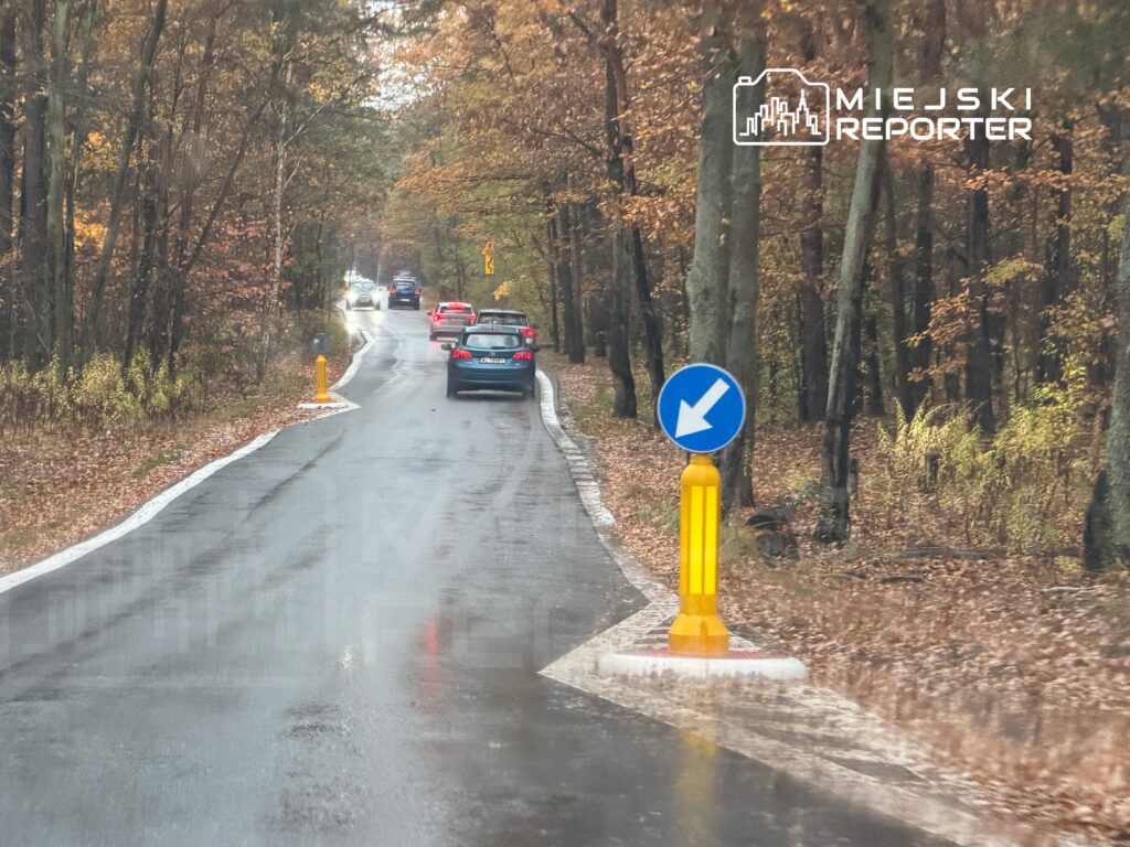 Samochody poruszające się po wąskiej, mokrej drodze otoczonej drzewami w jesiennych kolorach, z oznakowaniem kierunkowym.