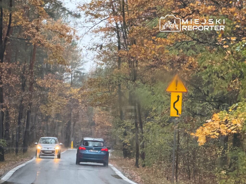 Dwa samochody poruszają się po wąskiej drodze otoczonej jesiennymi drzewami, z oznakowaniem o zakrętach.