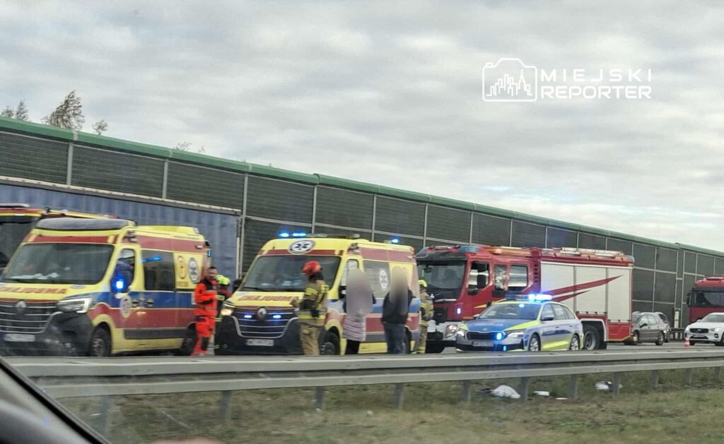Zespół ratunkowy oraz strażacy udzielają pomocy poszkodowanemu na poboczu drogi, obok zaparkowanych pojazdów służb.