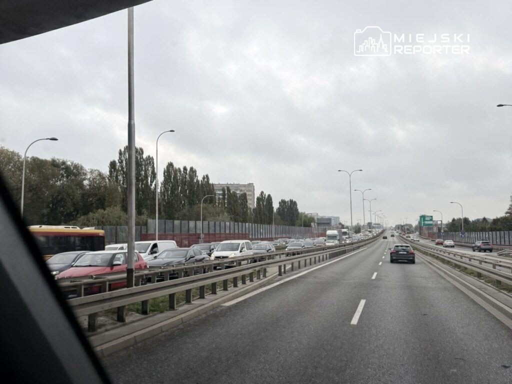 Ruch samochodowy na dwupasmowej drodze, w tle widoczne drzewa i budynki, nadchodzi pochmurna pogoda.
