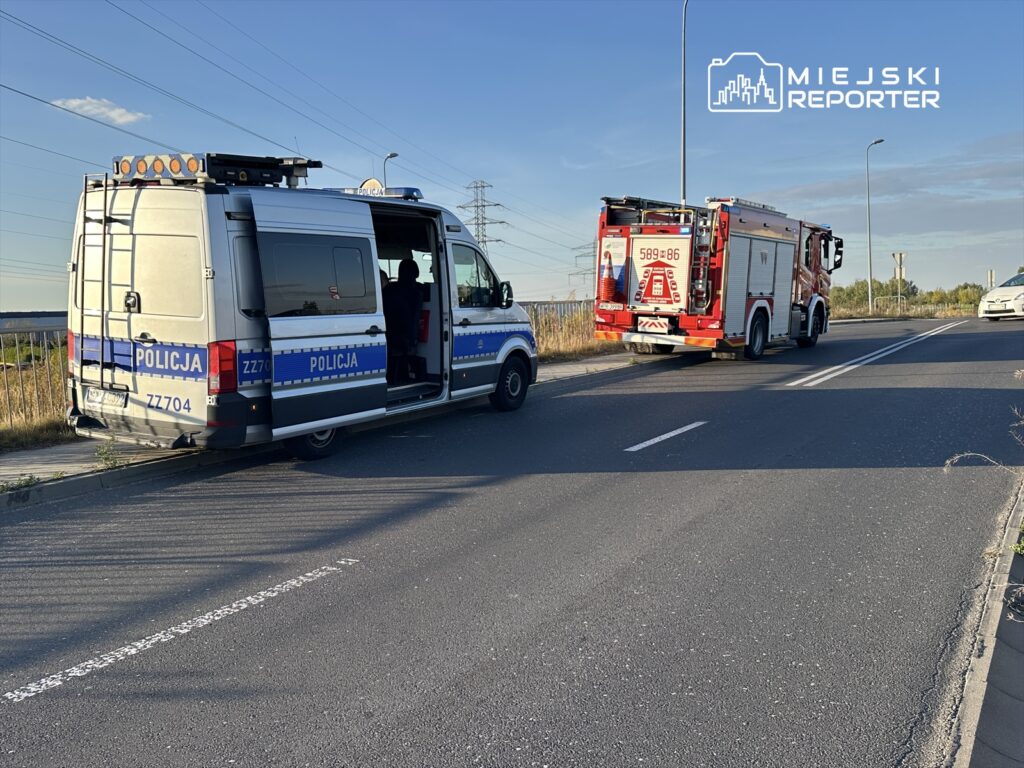 Policyjny van zatrzymany na poboczu drogi, obok niego wóz strażacki na tle zielonych pól.