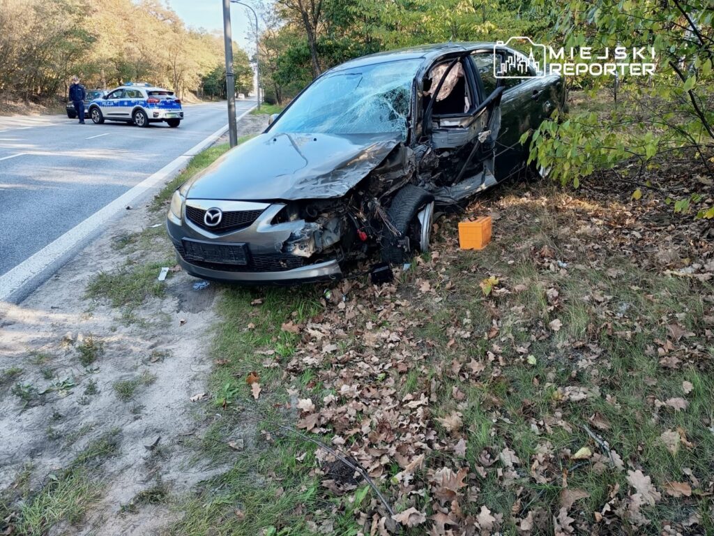 Zniszczony samochód osobowy leży na poboczu drogi, obok stoją policjanci i radiowóz. W tle widoczne drzewa i krzewy.