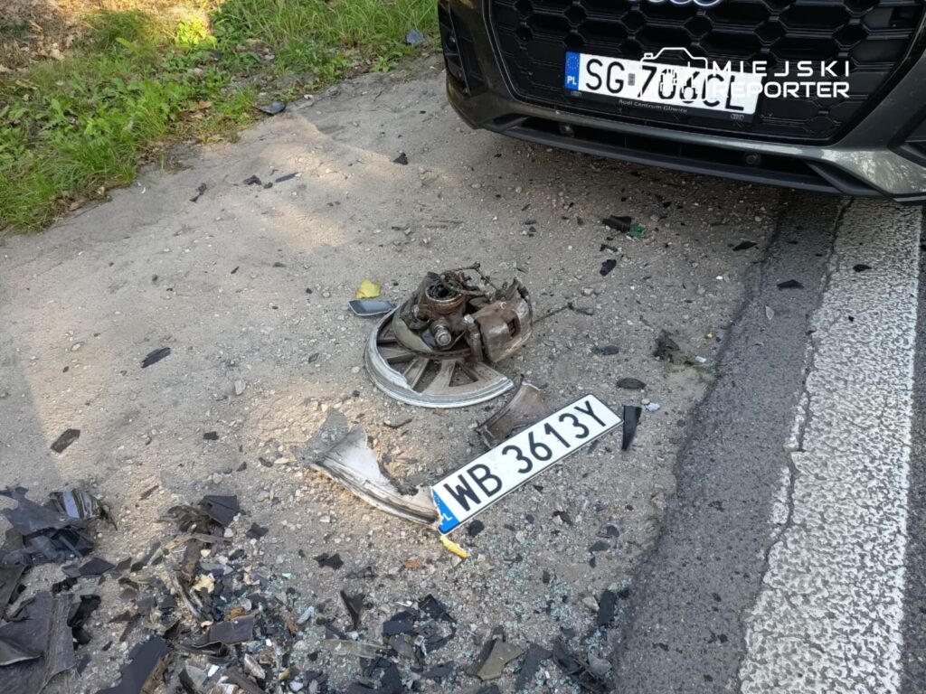 Złamane elementy pojazdu leżą na poboczu drogi, obok uszkodzonej tablicy rejestracyjnej i fragmentów szkła.