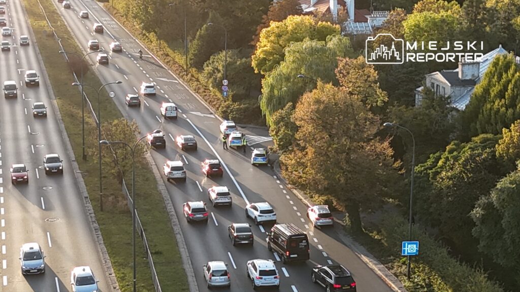 Kierowcy zatrzymują się w ruchu na drodze, obok policyjnych samochodów, w otoczeniu drzew i domów.