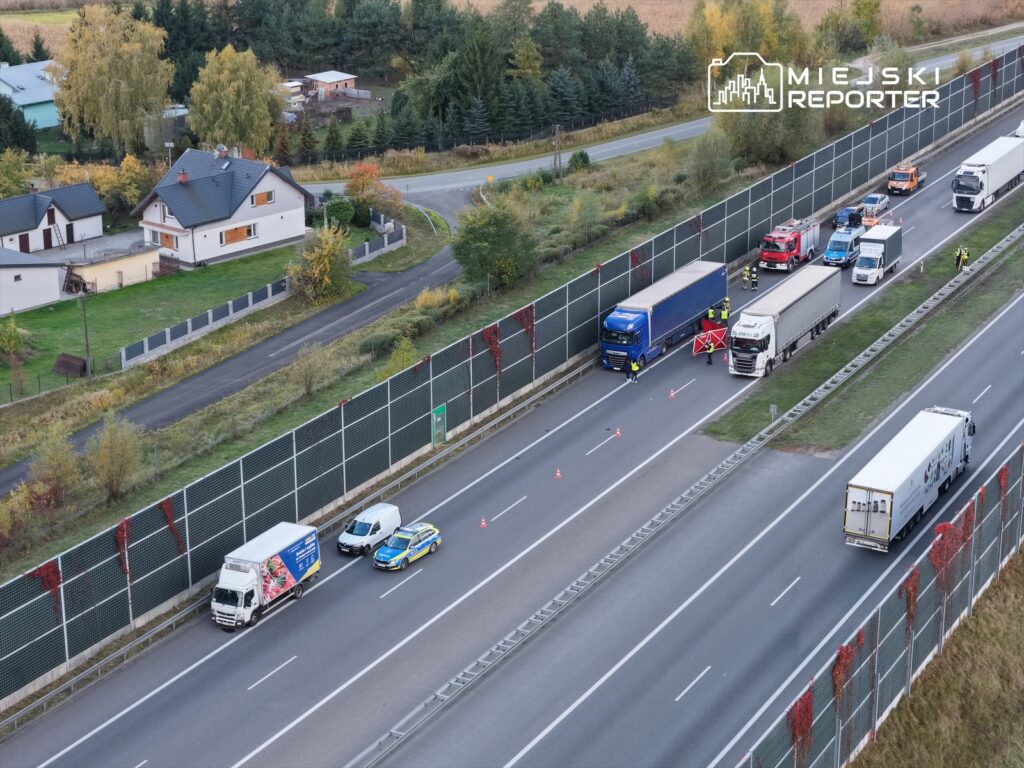 Kilkoro funkcjonariuszy w kamizelkach odblaskowych prowadzi kontrolę drogową w pobliżu autostrady, obok zatrzymanych ciężarówek.